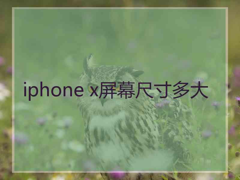 iphone x屏幕尺寸多大