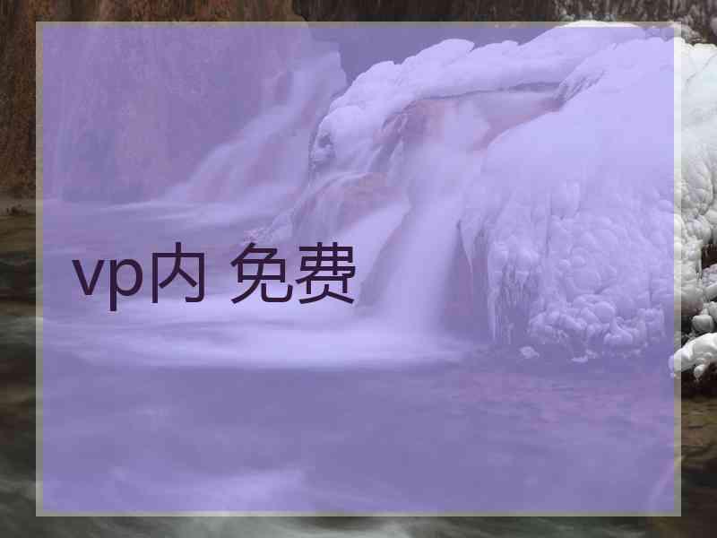 vp内 免费