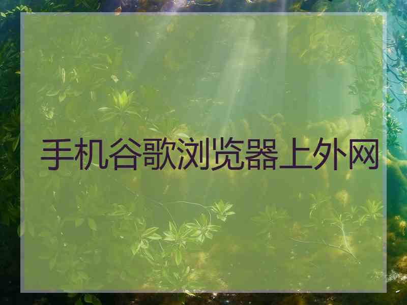 手机谷歌浏览器上外网