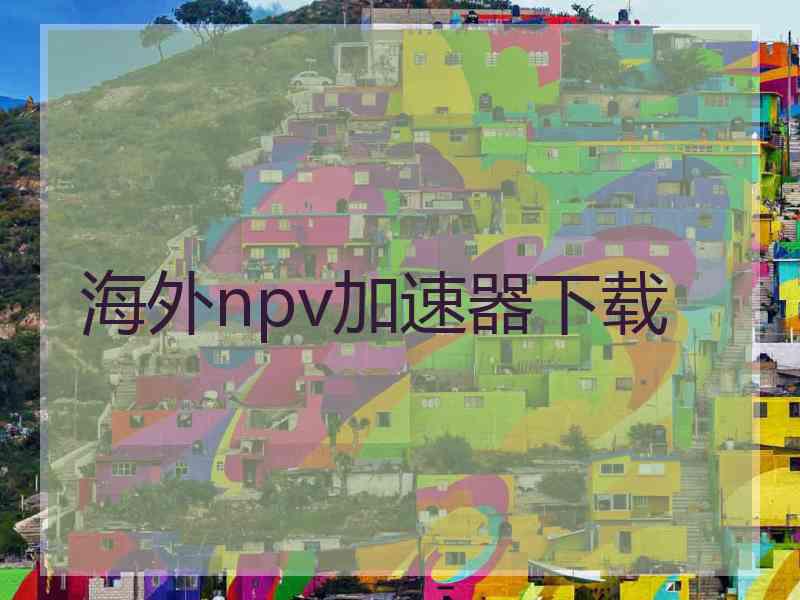 海外npv加速器下载