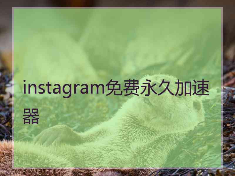 instagram免费永久加速器