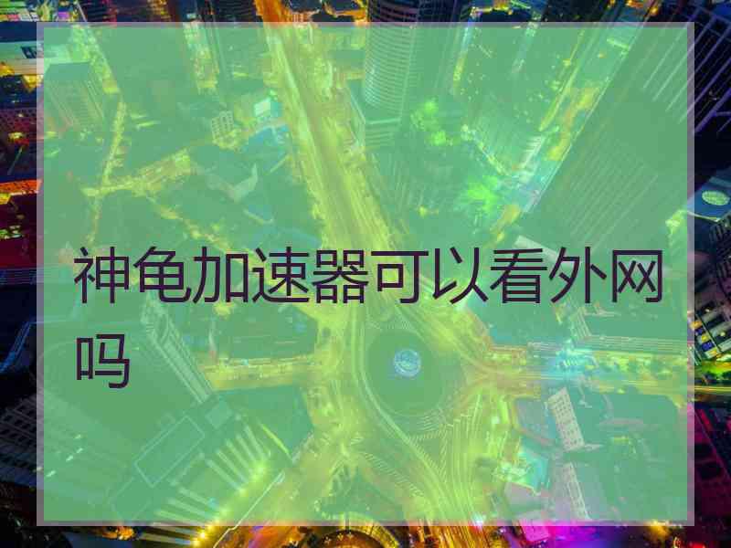 神龟加速器可以看外网吗