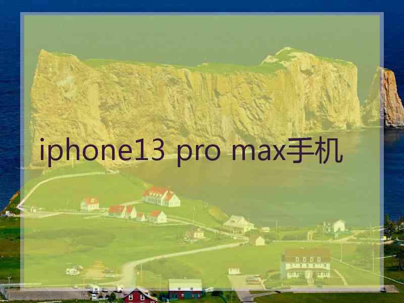 iphone13 pro max手机