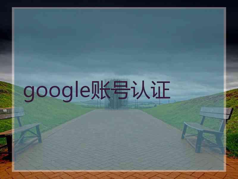 google账号认证