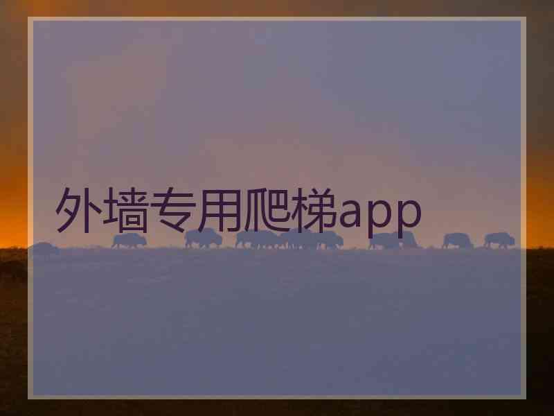 外墙专用爬梯app