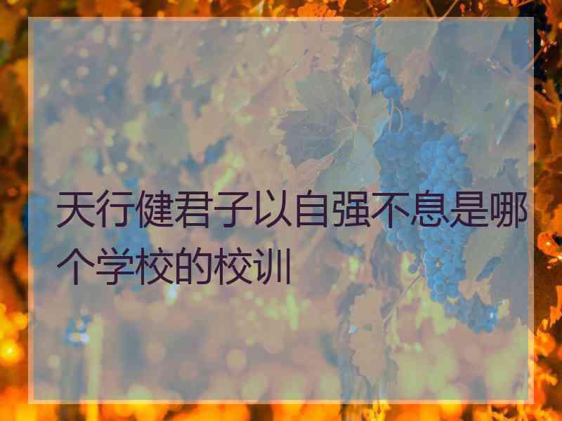 天行健君子以自强不息是哪个学校的校训