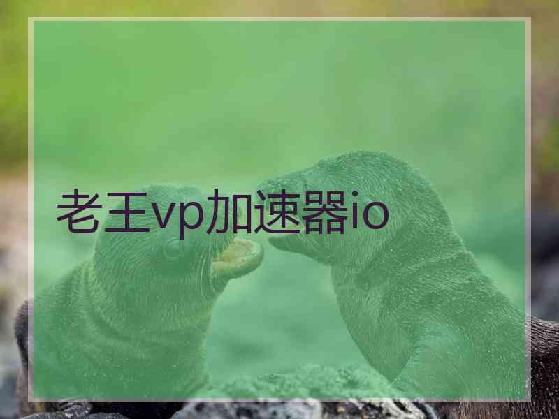 老王vp加速器io