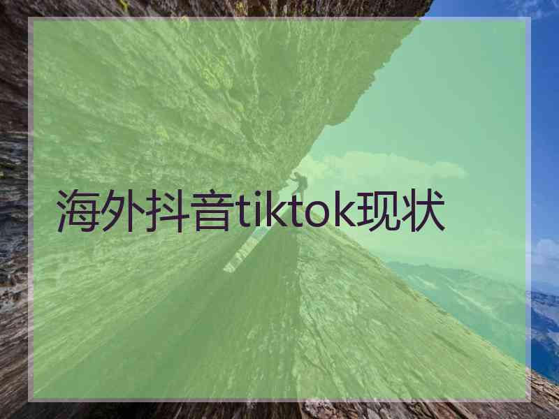 海外抖音tiktok现状