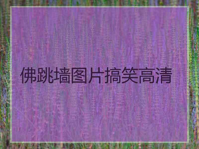 佛跳墙图片搞笑高清