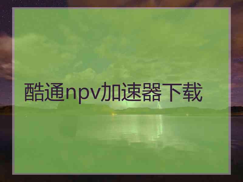 酷通npv加速器下载