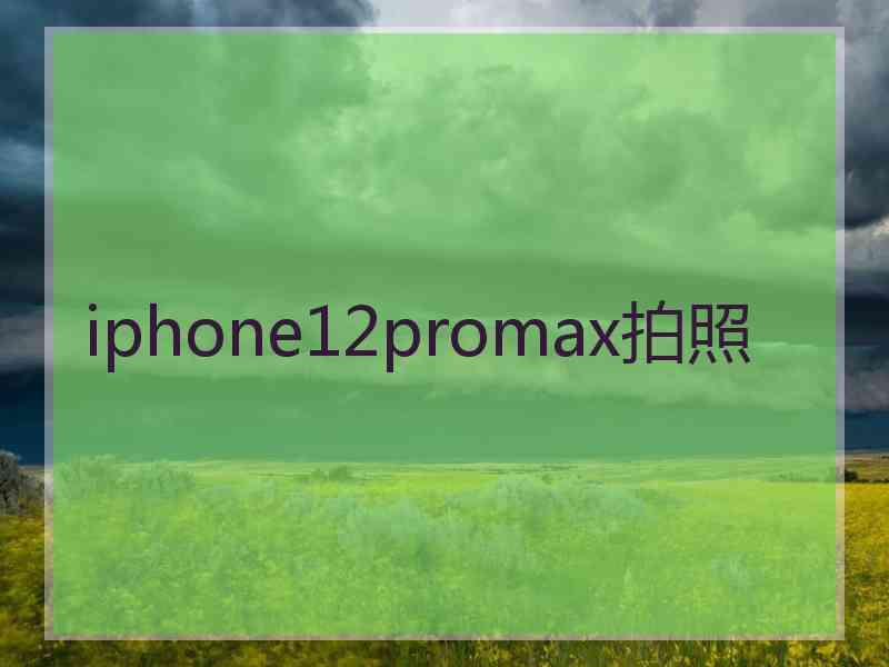 iphone12promax拍照