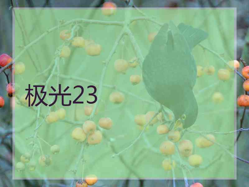 极光23