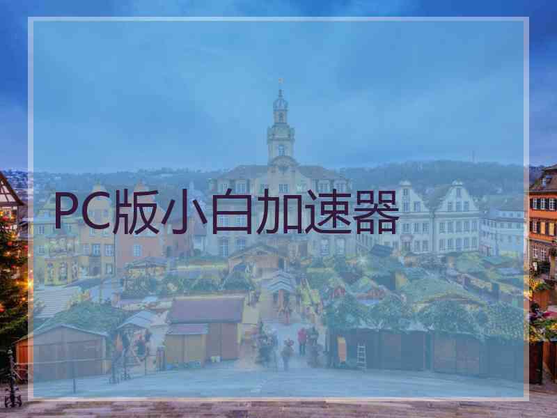 PC版小白加速器