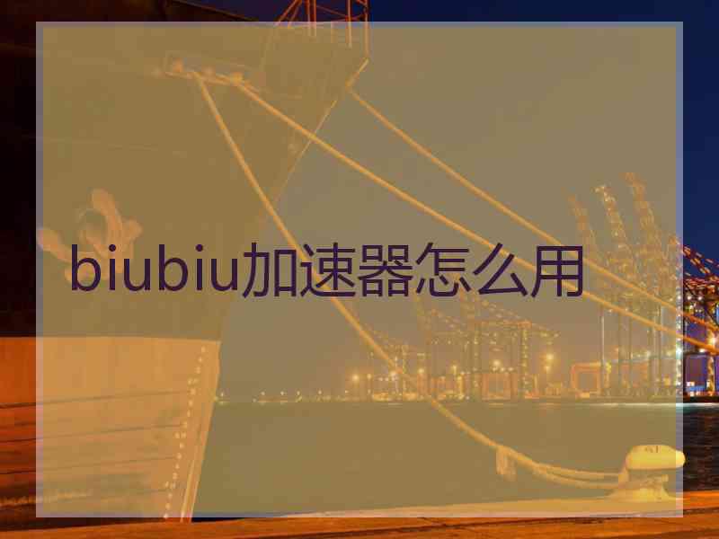 biubiu加速器怎么用