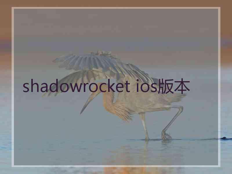 shadowrocket ios版本