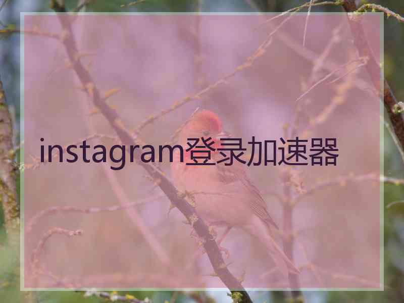 instagram登录加速器