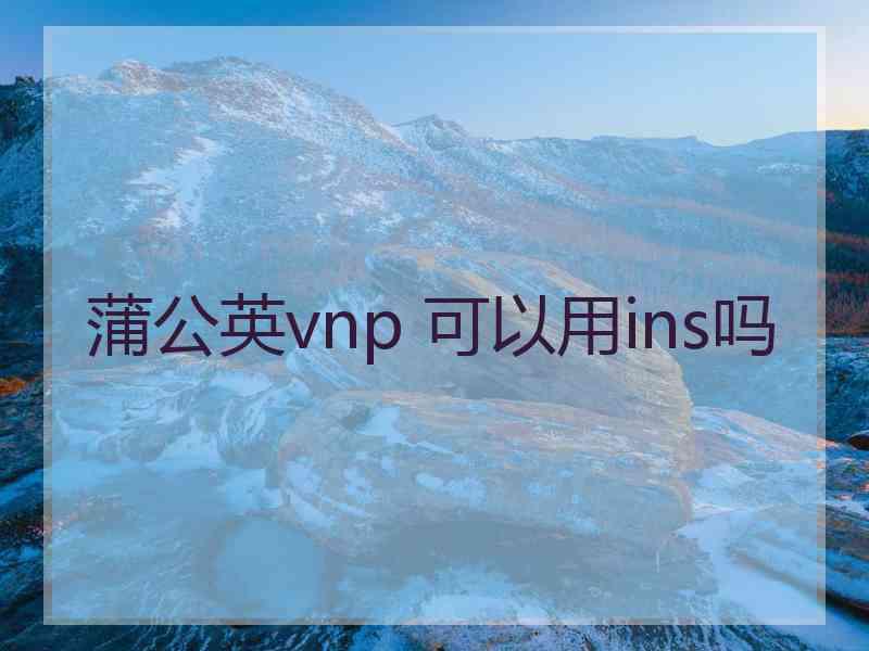 蒲公英vnp 可以用ins吗