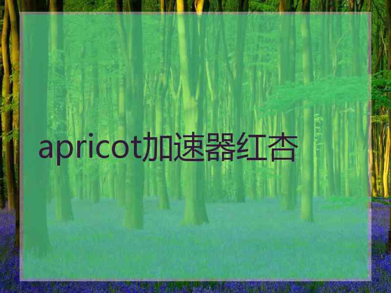 apricot加速器红杏