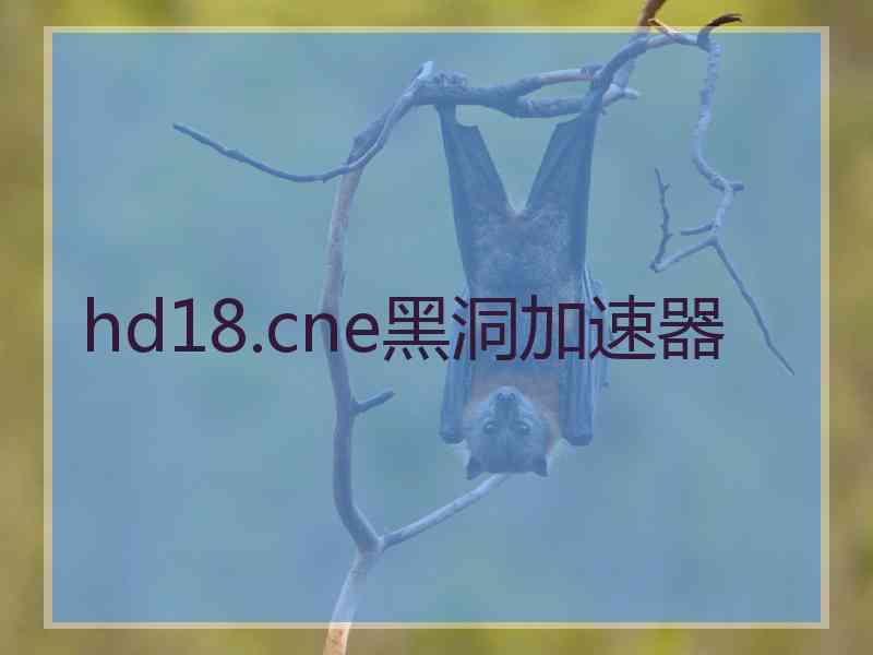 hd18.cne黑洞加速器