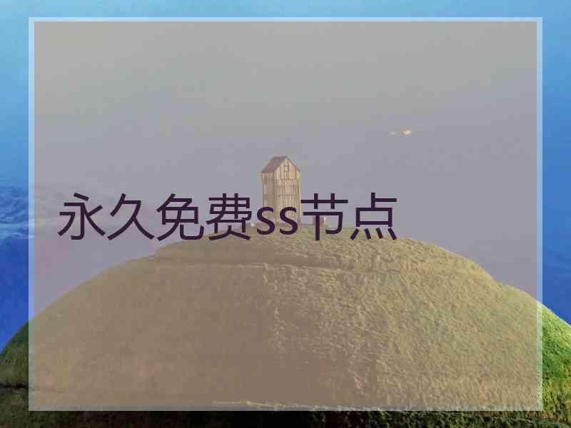 永久免费ss节点