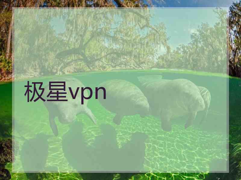 极星vpn