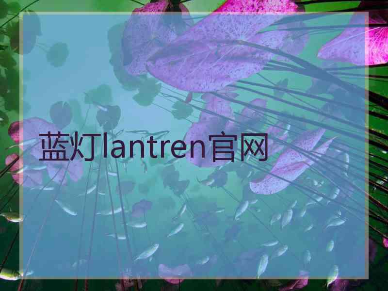 蓝灯lantren官网