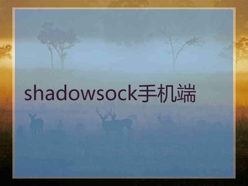 shadowsock手机端