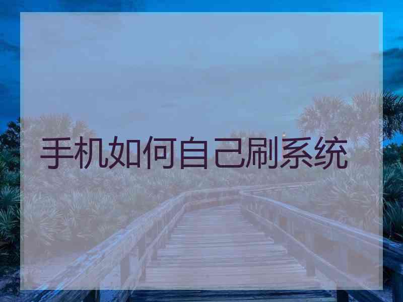 手机如何自己刷系统