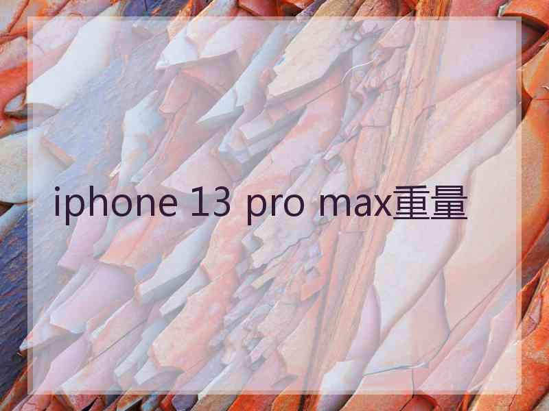 iphone 13 pro max重量