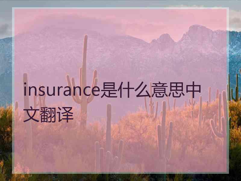 insurance是什么意思中文翻译