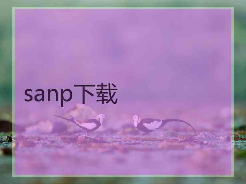 sanp下载