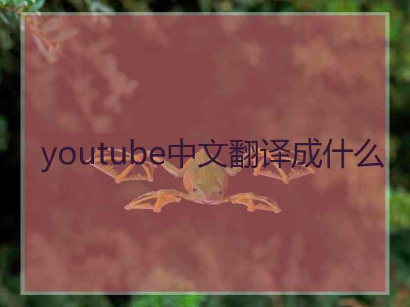 youtube中文翻译成什么