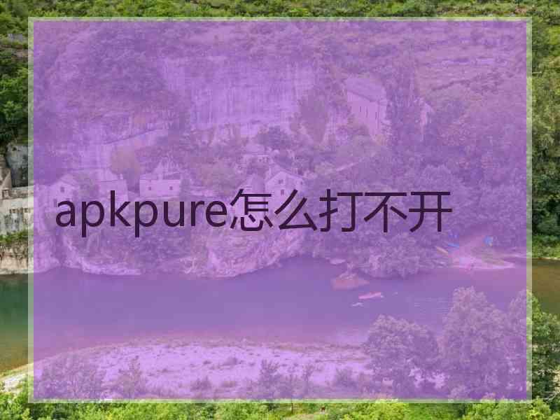 apkpure怎么打不开