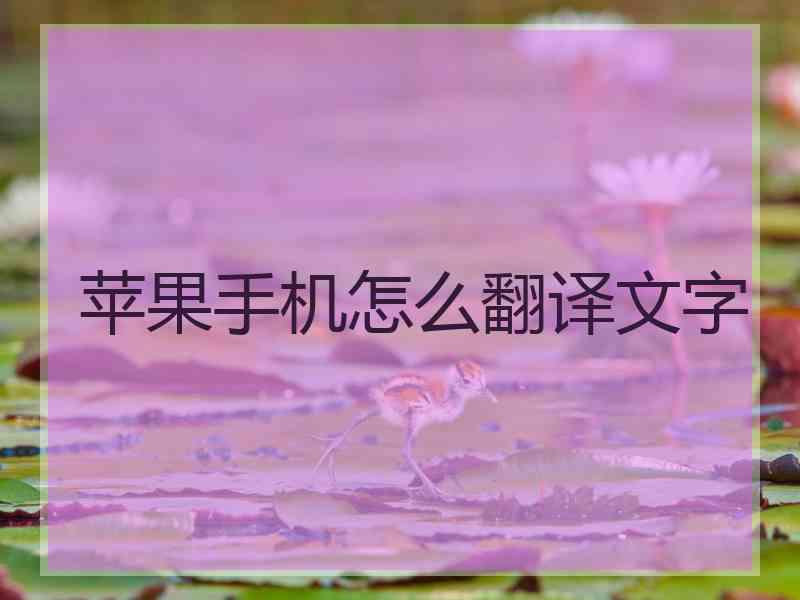 苹果手机怎么翻译文字