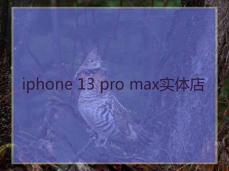 iphone 13 pro max实体店