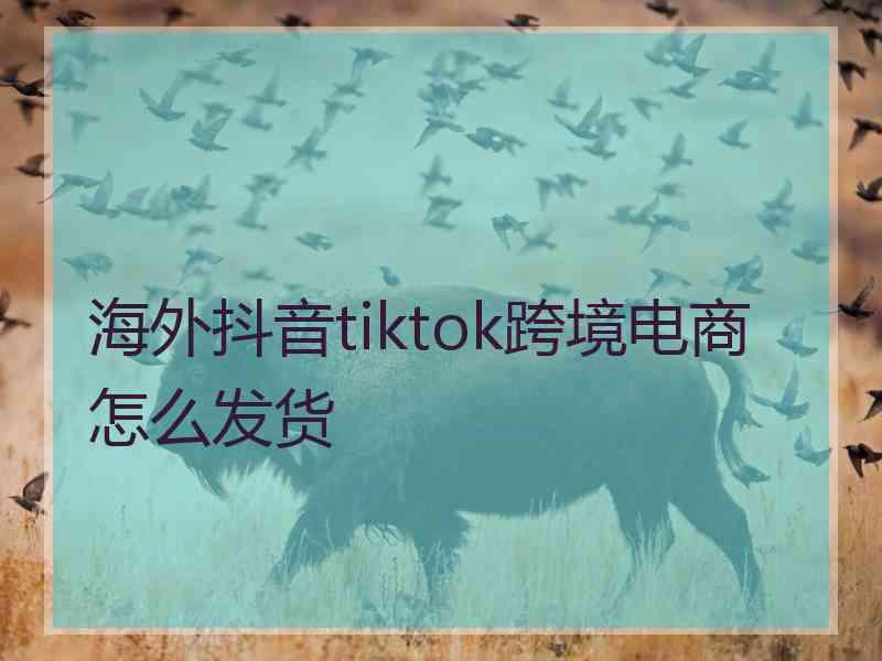 海外抖音tiktok跨境电商怎么发货