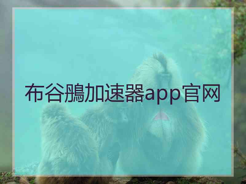 布谷鴅加速器app官网