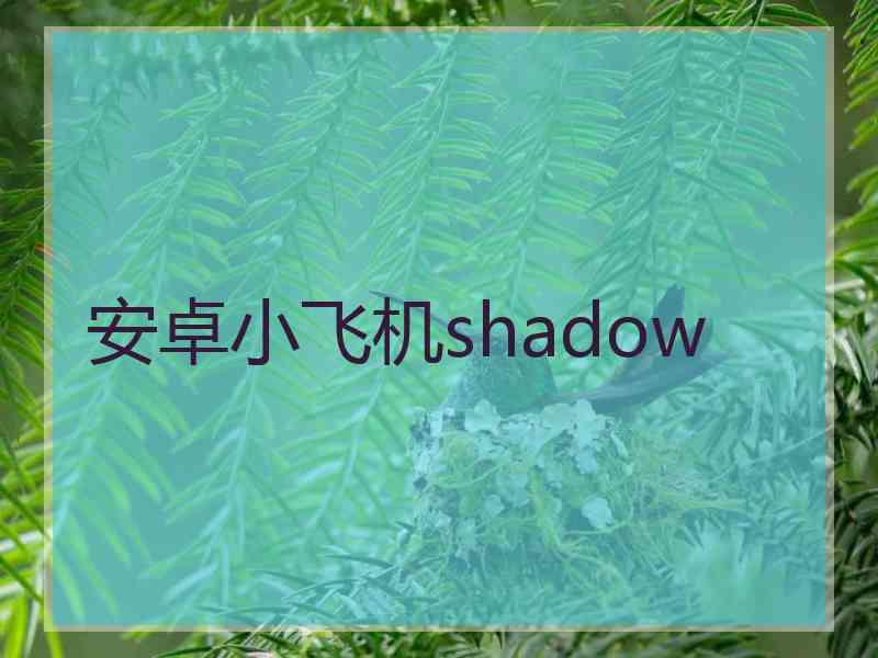 安卓小飞机shadow