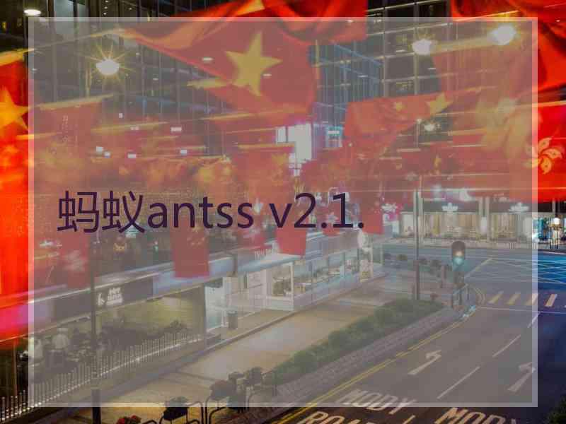 蚂蚁antss v2.1.