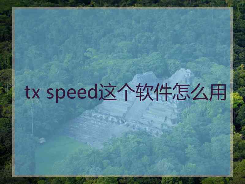 tx speed这个软件怎么用