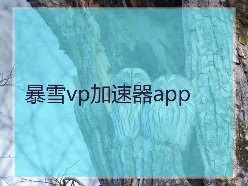 暴雪vp加速器app