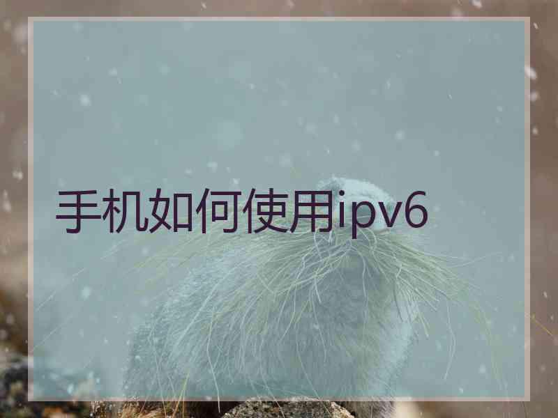 手机如何使用ipv6