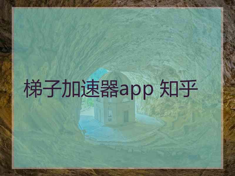 梯子加速器app 知乎