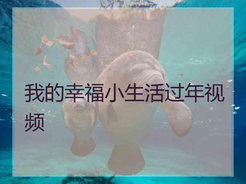 我的幸福小生活过年视频