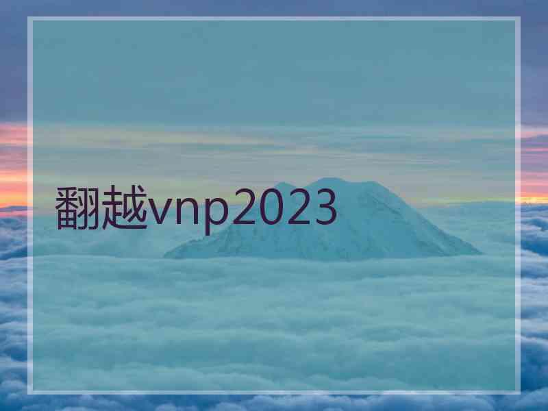 翻越vnp2023