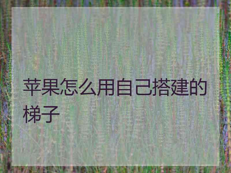 苹果怎么用自己搭建的梯子