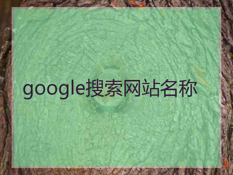 google搜索网站名称