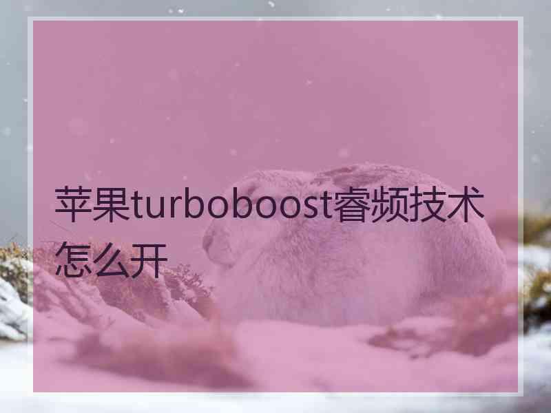 苹果turboboost睿频技术怎么开