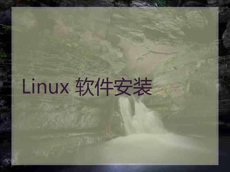 Linux 软件安装