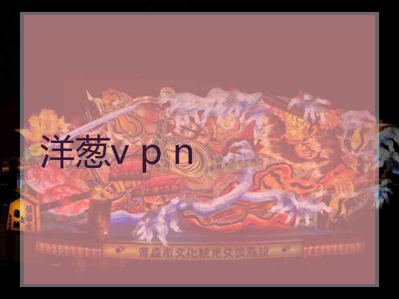 洋葱v p n